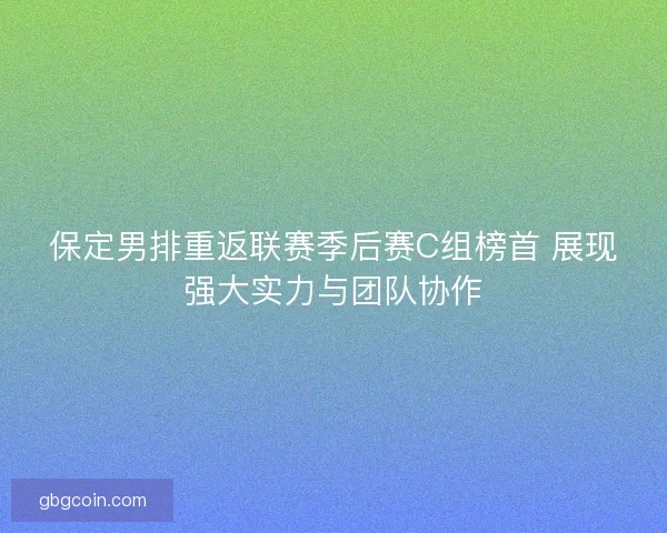 保定男排重返联赛季后赛C组榜首 展现强大实力与团队协作