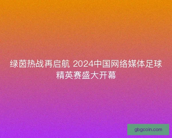 绿茵热战再启航 2024中国网络媒体足球精英赛盛大开幕