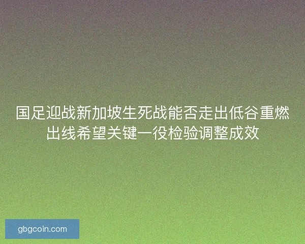 国足迎战新加坡生死战能否走出低谷重燃出线希望关键一役检验调整成效