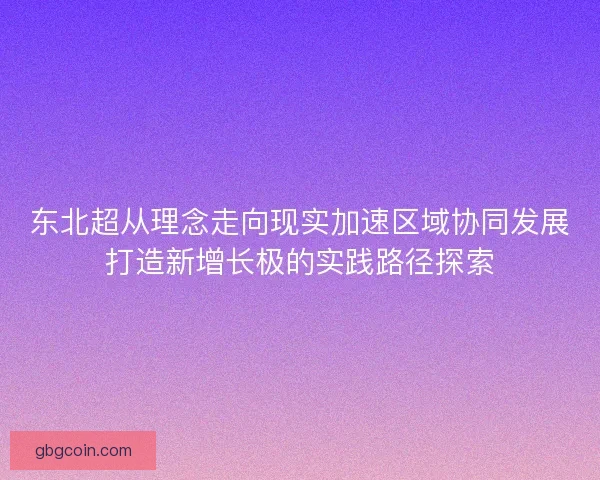东北超从理念走向现实加速区域协同发展打造新增长极的实践路径探索
